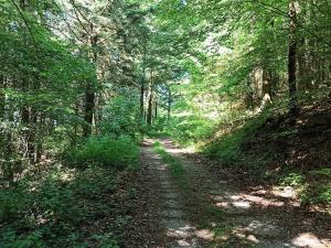 Paysages à voir en randonnée pédestre ou VTT à Fayet (5)
