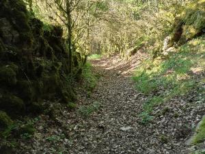 Paysages à voir en randonnée pédestre ou VTT à Fayet (7)