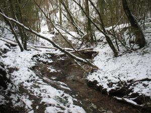 Un ruisseau à Fayet (7)