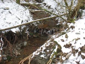 Un ruisseau à Fayet (8)