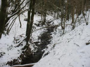 Un ruisseau à Fayet (9)