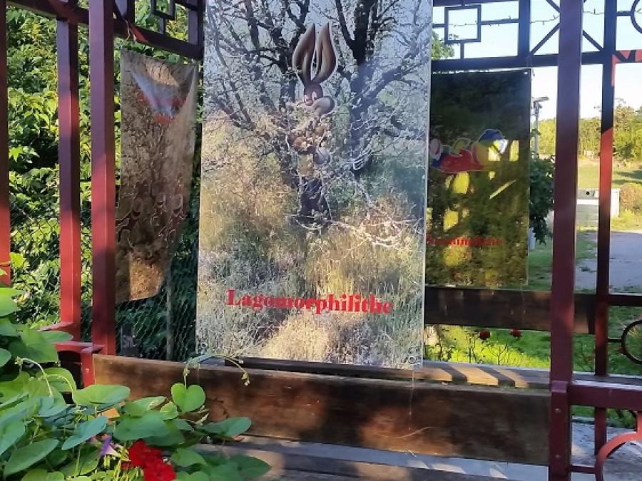 Art graphique - Cécile Ccollado - 09.2019 - Fayet (18)