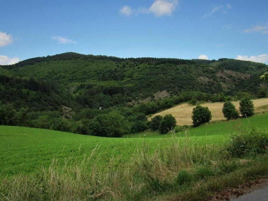 Méjanel (9)