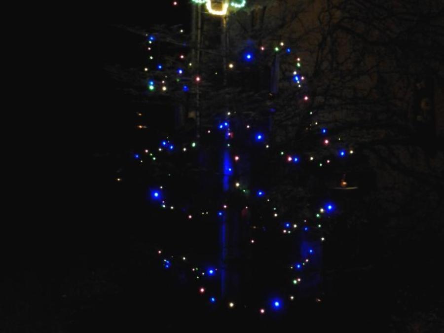 Sapin au Planet 2004 (9)