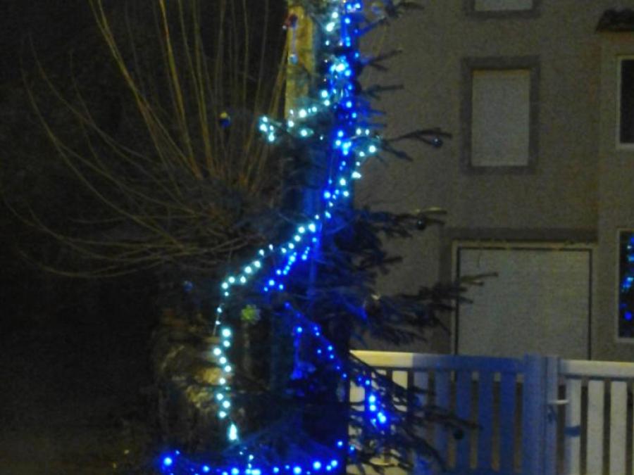 Sapin de Noêl à La Graverie (21)