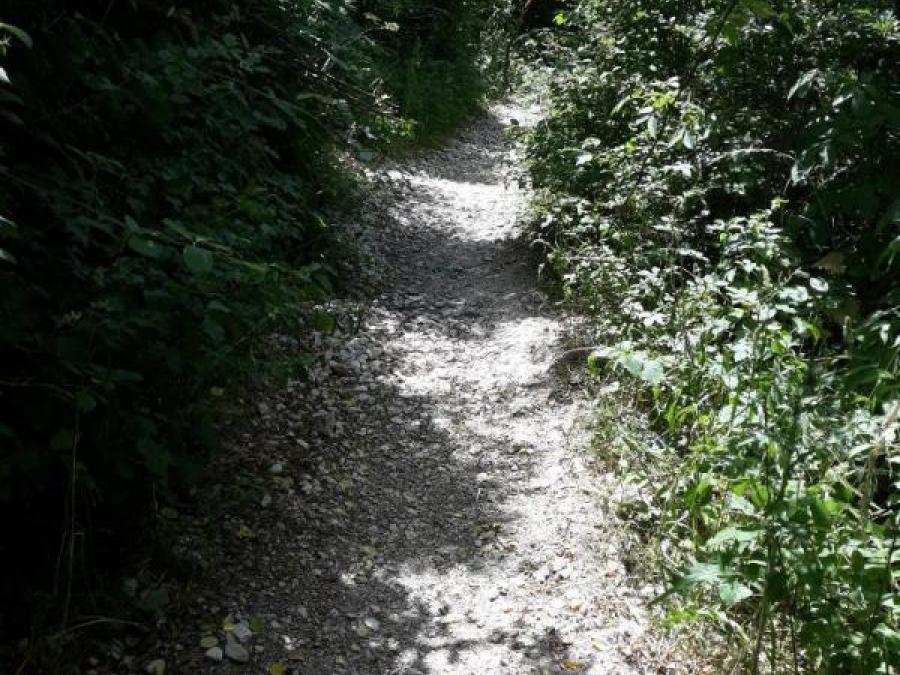 Sur le chemin de Saint Jacques de Compostelle 31
