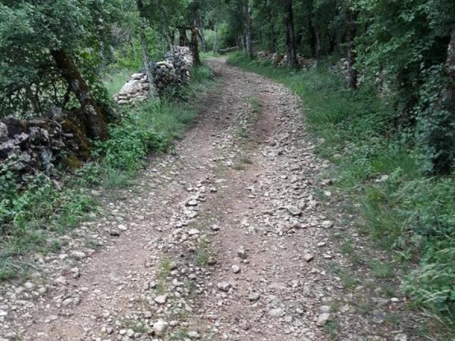 Sur le chemin de Saint Jacques de Compostelle (4)