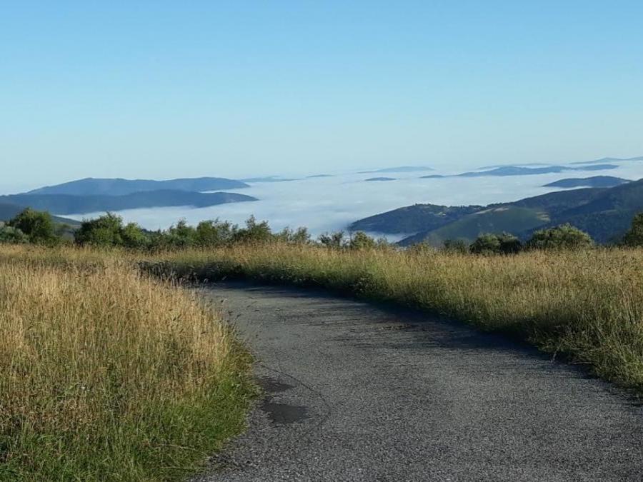 Sur le chemin de Saint Jacques de Compostelle 67