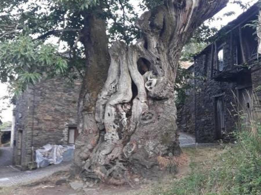 Sur le chemin de Saint Jacques de Compostelle 69